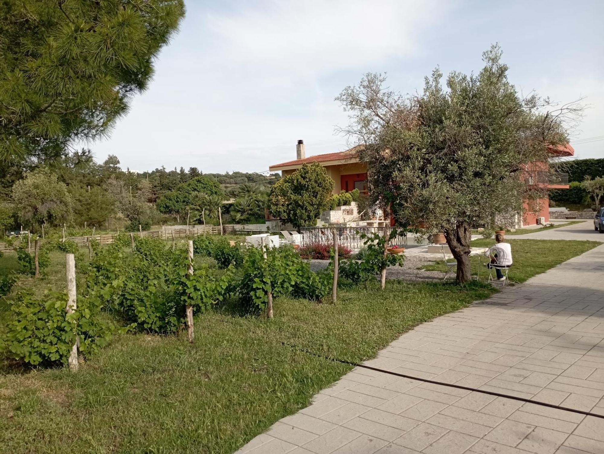 Emarmene Home With Private Pool Near Rhodes Town & Airport Koskinou  外观 照片